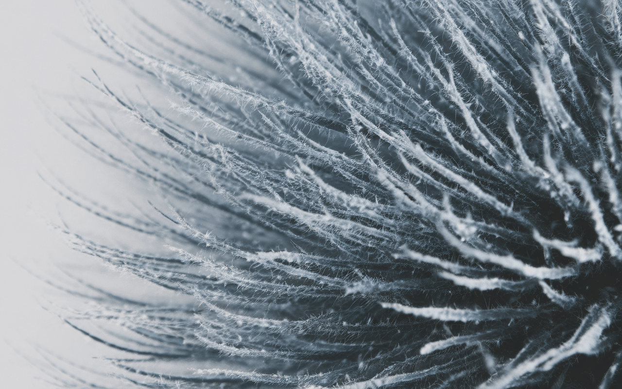 macro fibres balai professionnel microfibre capture poussière